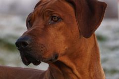 DSC01746-scaled