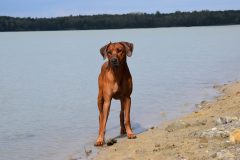 DSC_0169-scaled