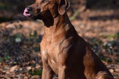 IMG_7186-scaled
